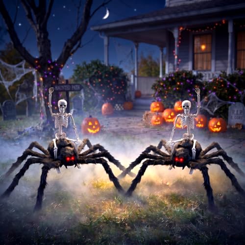 Halloween Spider and Skeleton Decoration Set - Indoor Outdoor Party Props