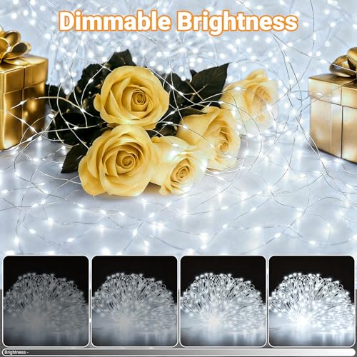 Fairy Lights Battery Operated 33FT 100LED USB-C Twinkle String Lights - Cool White, 2 Pack, 8 Modes & Dimmable