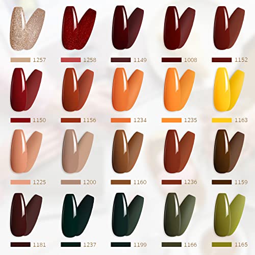 Fall Collection Gel Nail Polish Set - 20 Colors with Glossy & Matte Top Coat