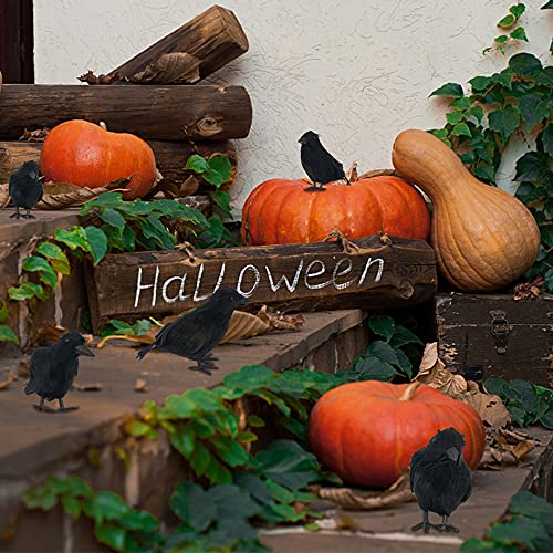 Halloween Black Feathered Crow Decorations - 12 Pack Lifelike Bird Props