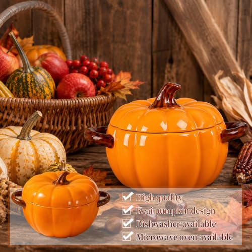 Ceramic Pumpkin Bowls Set of 5 Soup & Dessert Serving Dishes with Lids & Spoons