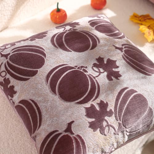 Halloween Pumpkin Pillow Covers 20x20 Set of 2 Purple Fall Decor