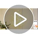 6FT LED Lighted Maple Tree with Remote Control - Artificial Decor for Indoor & Outdoor Use