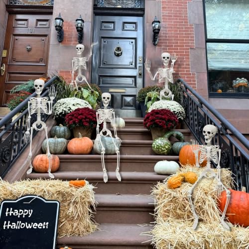 Gray 2-Pack Life Size Skeletons with Posable Joints for Halloween Decor - 3 Ft