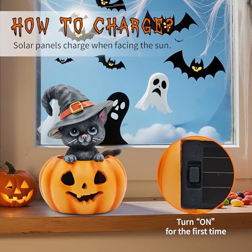 Halloween Cat in Pumpkin Decor - Female Witch Hat Indoor Ornament - Cat Lovers Gift - Variation of THIS listing