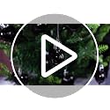 Gothic Heart Hanging Ornaments Set - Black Spiked Halloween & Holiday Decor, 18 Pack