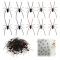 3D Fake Spider Magnets Set - Realistic Brown and Black Refrigerator Decor
