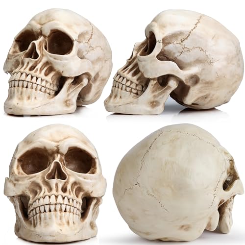 Large Life-Size Resin Skull for Halloween & Home Decor - White