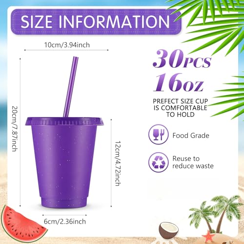 Reusable Plastic Cups with Lids and Straws - 16 oz Purple Glitter Set of 30