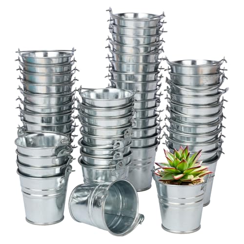 50 Pack Galvanized Mini Metal Buckets with Handles - 2.1 Inch Small Tin Pails for DIY, Decor & Party