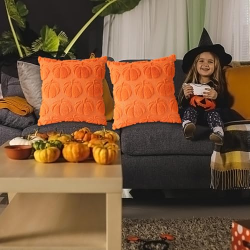 Autumn Pumpkin Cushions Set - Halloween & Thanksgiving Decor 45x45 cm