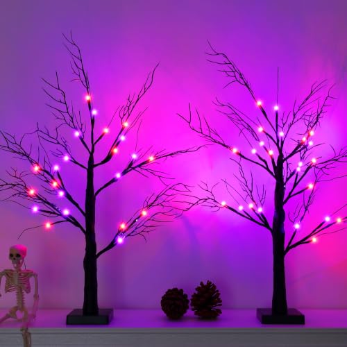 Black Lighted Halloween Tree Set - 24 Inch Indoor Spooky Decor with 2 Pack