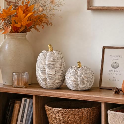 Resin Pumpkin Figurines Set - Fall Thanksgiving Harvest Decor, 2 Pieces