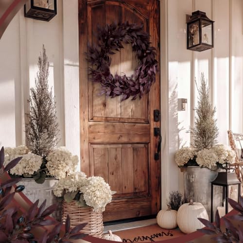 20 Inch Autumn Wreath for Front Door - Burgundy Fall Decor, Expandable Olive Design
