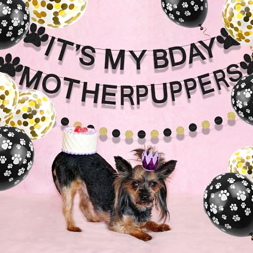 Dog Birthday Party Decorations Kit with Banner Balloons & Garland - Black & Gold