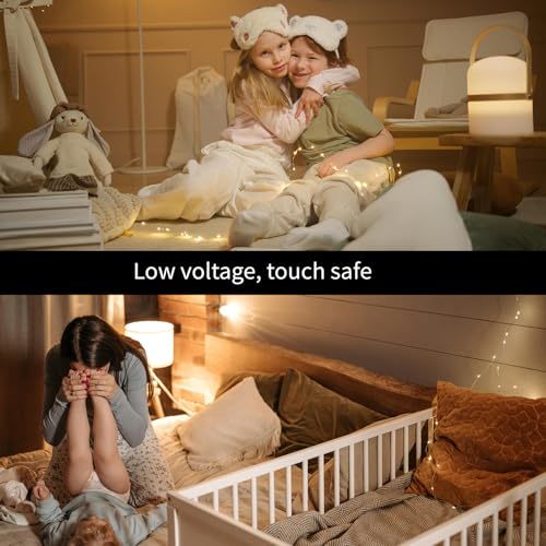 Battery Operated Fairy Lights 16ft Warm White Copper Wire String Lights for Christmas, Weddings, Party, Indoor Decor