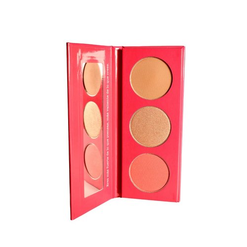 Erika's Makeup Kit - Matte Lip Kit + Gloss + Contour, Blush & Highlighter Palette