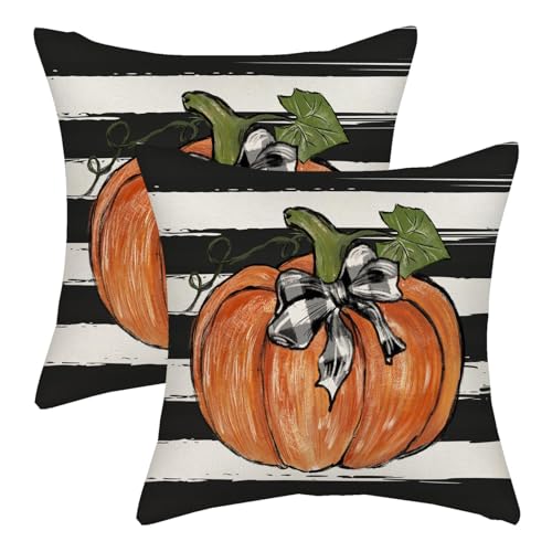 Watercolor Pumpkin Fall Pillow Covers Set of 2 22x22 Inches Black Stripes Halloween Decor