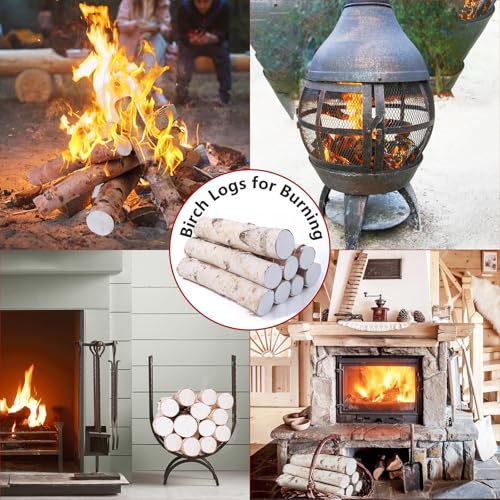 Natural Birch Firewood Logs Set for Fireplace and Rustic Decor - 8 Pack