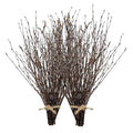 100Pcs 17 Inch Natural Birch Branches for Rustic Decor Wreath Making Crafts & DIY