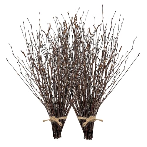 100Pcs 17 Inch Natural Birch Branches for Rustic Decor Wreath Making Crafts & DIY
