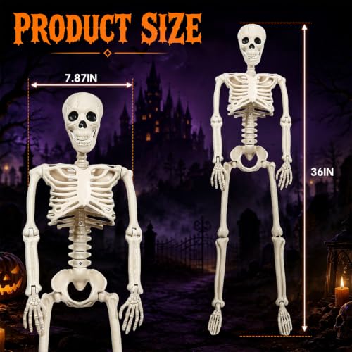 3Ft Halloween Skeleton Decorations Outdoor - Life Size Posable Skeletons Bone White 2 Pack