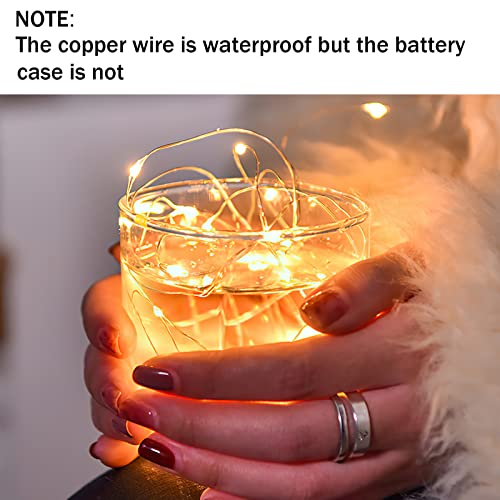 Warm White LED Fairy String Lights 3M 30 LEDs Battery Operated 10 Pack