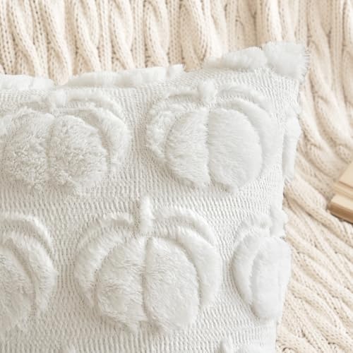 16x16 Fall Pumpkin Pillow Covers Set of 2 - White Decor for Couch & Outdoor