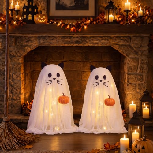 Halloween Ghost Cat Light Set with DIY Crafts & Decorations - Variation of Ghost Cat