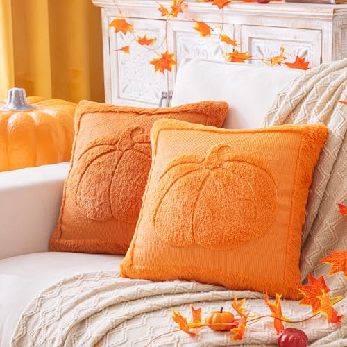 Rust Pumpkin Fall Throw Pillow Cover 18x18 - Autumn Decor, Plush Fabric, Set of 1