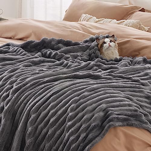 Bedsure Fleece Throw Blanket - Ultra Soft Warm Lightweight Bed & Couch Cover