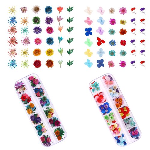 216PCS Dried Flowers - Nail Art Accessories Kits, 57 Color Lovely Natural Dried Flowers for Resin Molds and Nails, YWLI