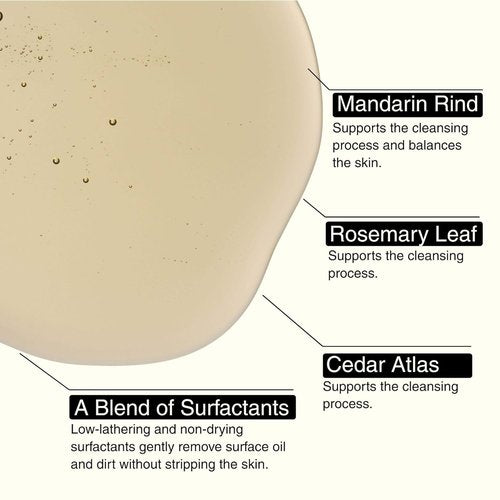 Aesop Resurrection Aromatique Hand Wash & Refill | Non-Drying Gentle Gel Hand Wash with Orange, Rosemary and Lavender Oils | 16.9oz / 500mL (Pack of 2)