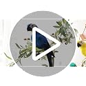 Artificial Green Parrot Decoration - 17.7 Inch Lifelike Bird for Christmas & Garden