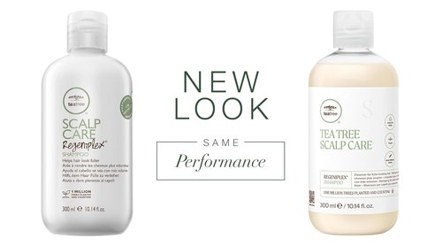 Regine Switzerland Tea Tree Scalp Care Shampoo - Thickens & Strengthens Thinning Hair