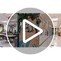 Dinosaur Door Cover Banner Set for Party & Classroom Decoration