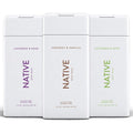 Native Body Wash 3 Pack - Natural SLS & Paraben Free Body Wash for Men & Women | Cucumber, Coconut & Lavender Scents