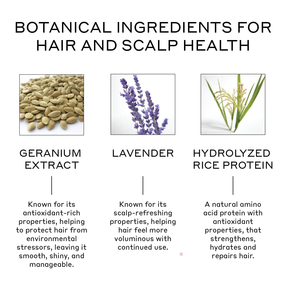 ZENAGEN Volume Foam - Lightweight Densifier & Volumizer for All Hair Types | Boosts Volume, Nourishes & Strengthens Hair