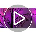 Halloween Spooky Black Tabletop Tree Set - 24 Inch LED Indoor Decor with Timer & USB/Battery - Style 2