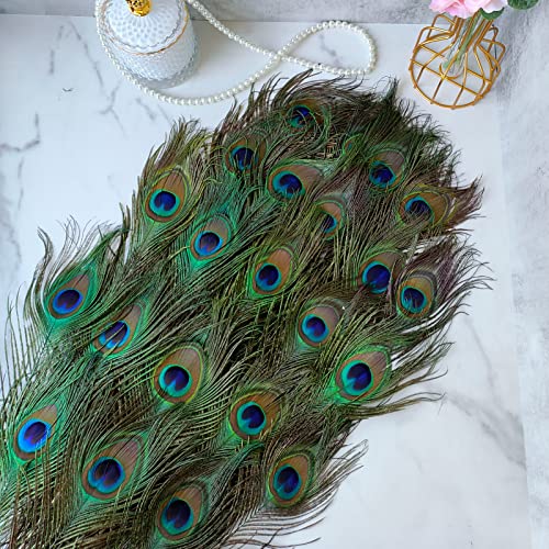 Natural Peacock Feathers 35-40 Inch Bulk 24pcs for Wedding & Craft Decor - Variation of 35-40Inch-24pcs
