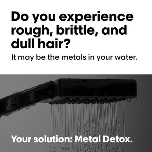 L'Oréal Professionnel Paris Metal Detox Shampoo & Mask Set | Protect Color, Remove Metal Build-Up, Paraben & Sulfate-Free