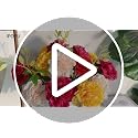 Artificial Carnations Flowers Set - Real Touch Long Stems 20'' Rose Red - Wedding & Home Decor