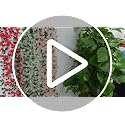 Red Artificial Flower Garland 24FT - Faux Rose Vines for Wedding & Home Decor