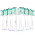 HOFAM Toothbrush Heads for Philips Sonicare Replacement Heads C2 C1 C3 4100 5100 5300 6100 3100 2100 1100, for Philips Sonic Care Click-on Electric Tooth Brush Handles, 8 Pack