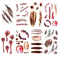Halloween Fake Wound & Vampire Bite Tattoo Set - Waterproof 8 Sheets with Variation A (6cm x 10.5cm)