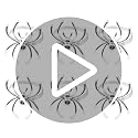 Halloween Spider Napkin Rings Set - Silver Alloy 6pcs Table Decor