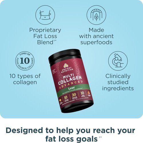 Ancient Nutrition Hydrolyzed Collagen Peptides Powder - Lean Protein with Probiotics & Vitamin C, Cinnamon Flavor, 25 Servings