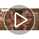 24-Inch Collapsible Fall Wreath with Pumpkins and Lights for Front Door