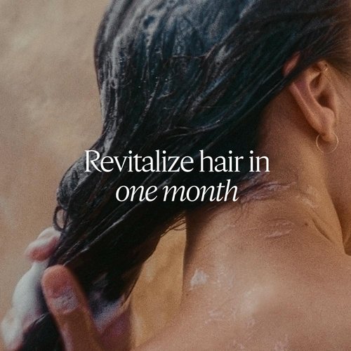 L'Occitane Intensive Repair Shampoo - Revitalize Dry, Damaged Hair | Silicone-Free & Vegan Formula