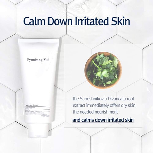 PYUNKANG YUL Cleansing Foam - Gentle Korean Facial Wash for All Skin Types - Moisturizing Coconut Extract - 5.1 Fl. Oz